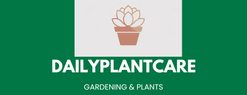 DailyPlantCare